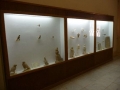 museo_kharga (119)