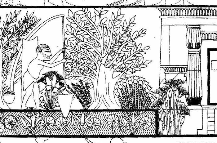 Fig. 6. Uso del cigoñal en el jardín de Ipuy (Davies 1927, PL XXVIII).