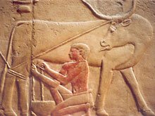 Mastaba de Kagemni Memi